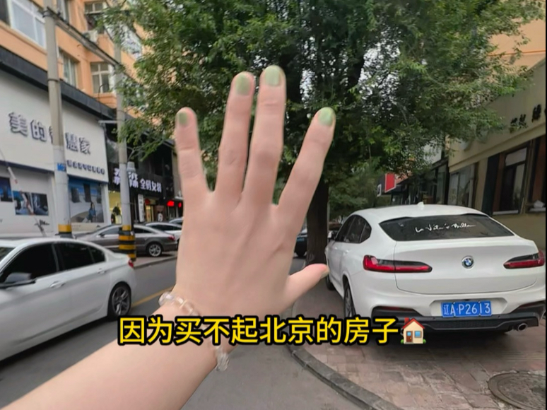 因为买不起北京的房子，所以花4万在阜新买房躺平vlog