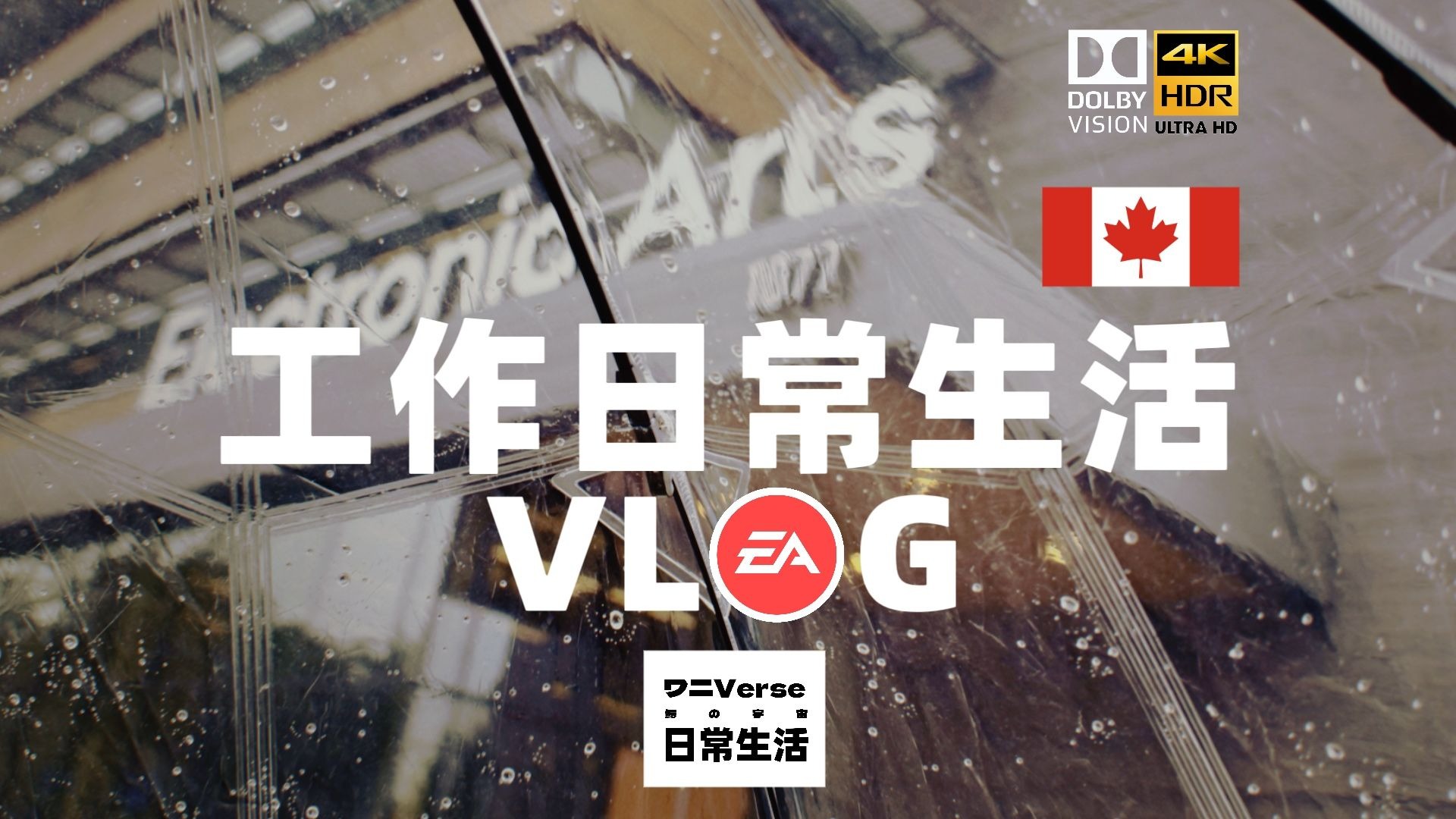 在游戏公司EA当打工人的一个星期～工作生活日常VLOG·第5周「4