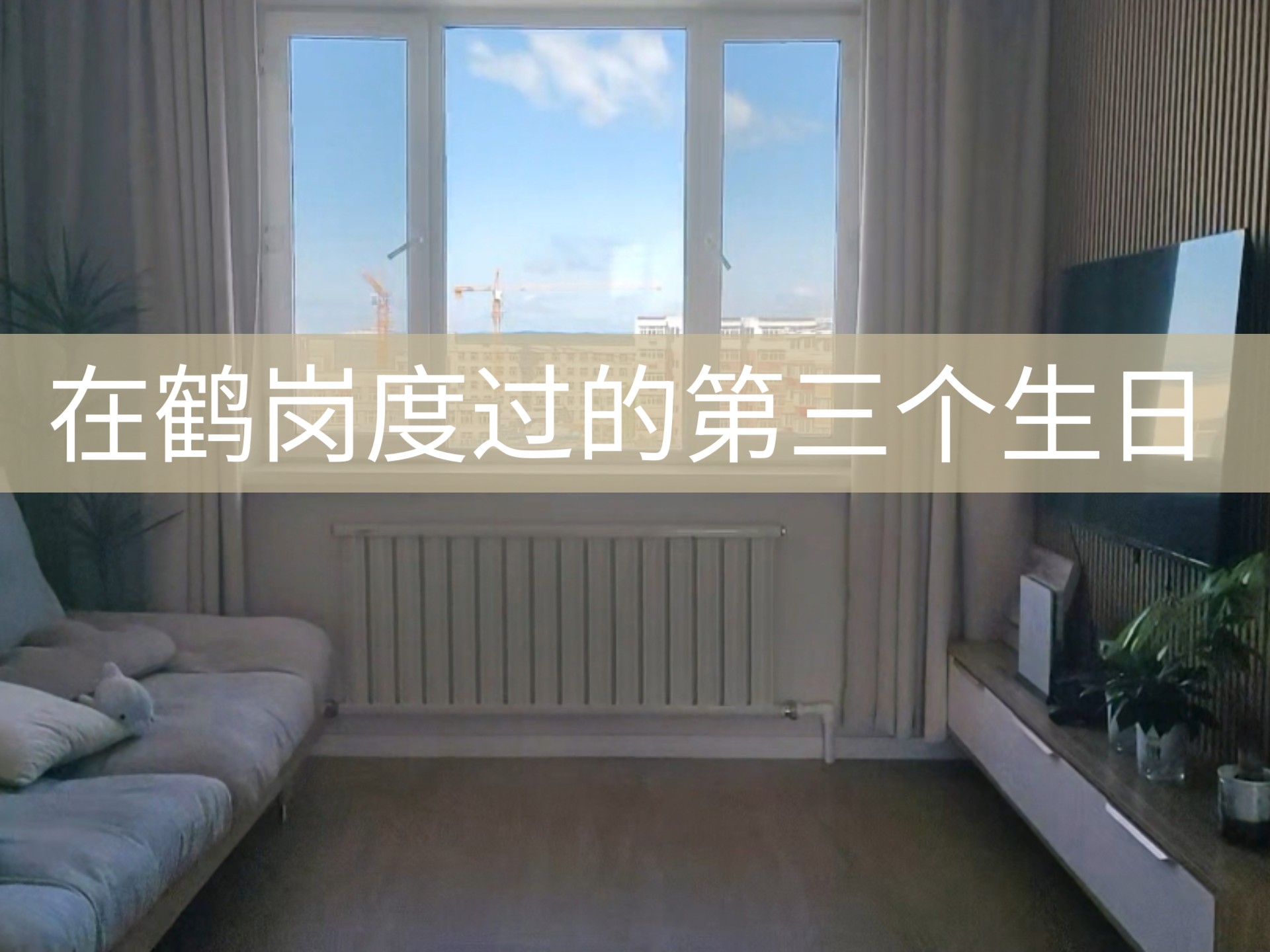 在鹤岗躺平的第742天，在鹤岗度过了第三个生日