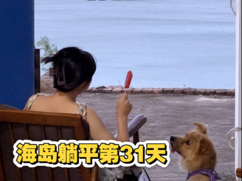 海岛躺平第31天