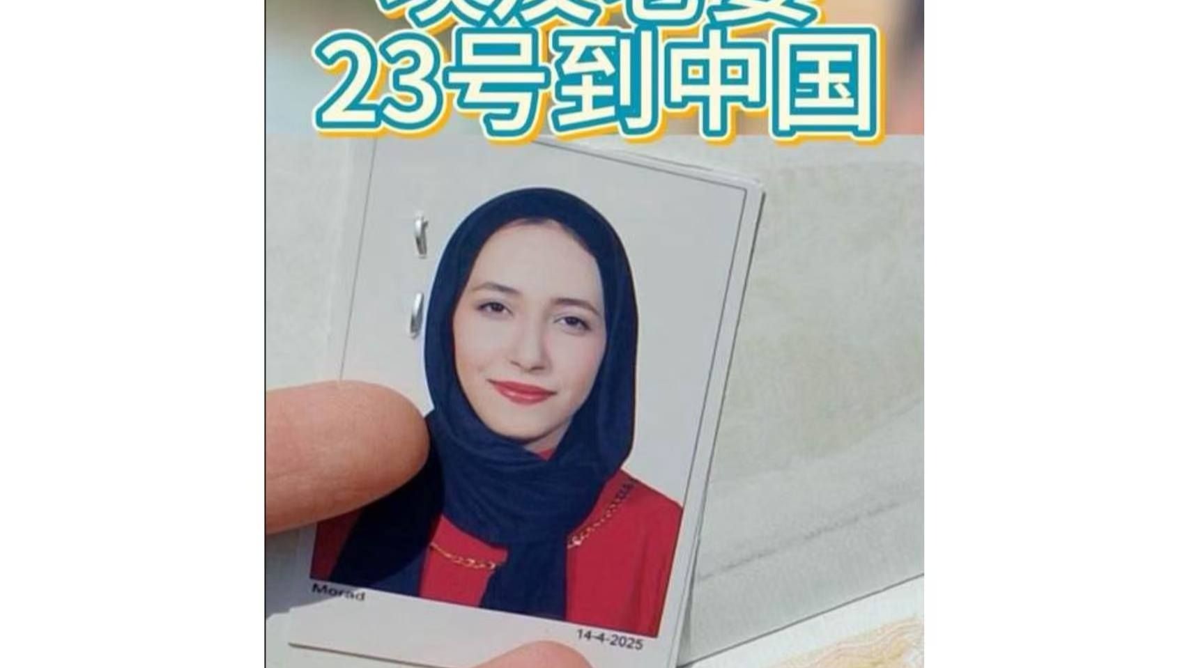 埃及老婆23号来中国
