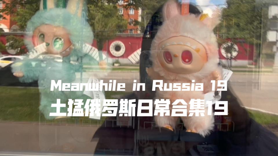 土猛俄罗斯日常合集19｜Meanwhile in Russia 19｜拉布布占领俄罗