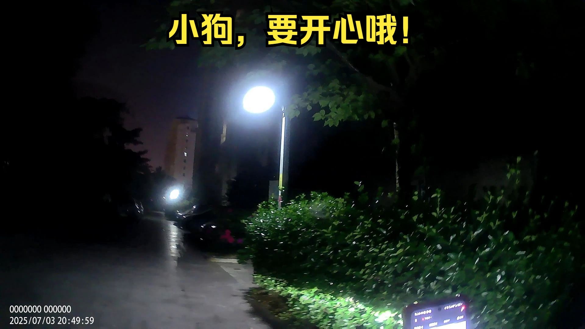 小狗，为我们的缘分，吃糖！