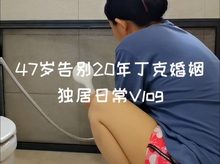 47岁告别丁克婚姻独居日常Vlog｜洗刷刷日