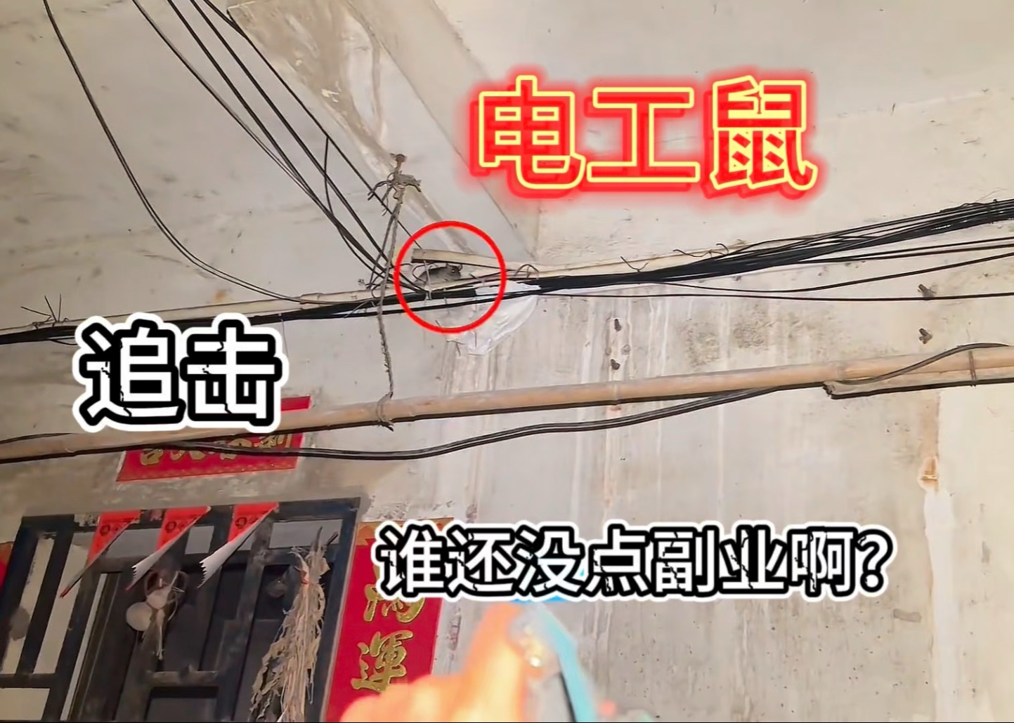 这年头，谁还没点副业啊？(第二期）