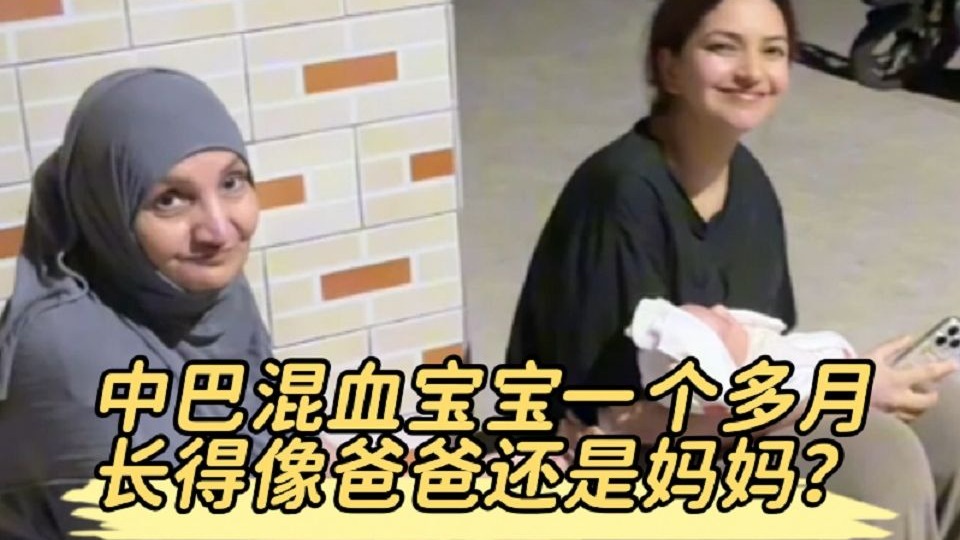 中巴混血宝宝出门好奇的眼睛提溜转，出生一个多月长的像谁？