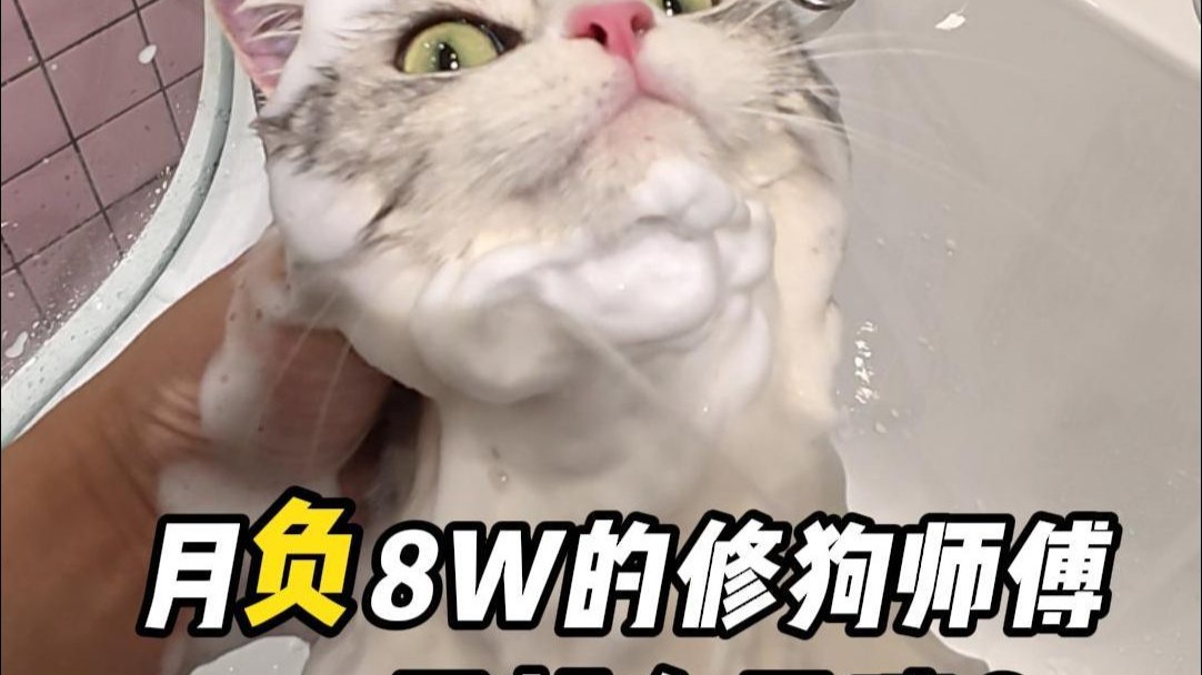 沉浸式体验月负8万修狗师傅的一天！