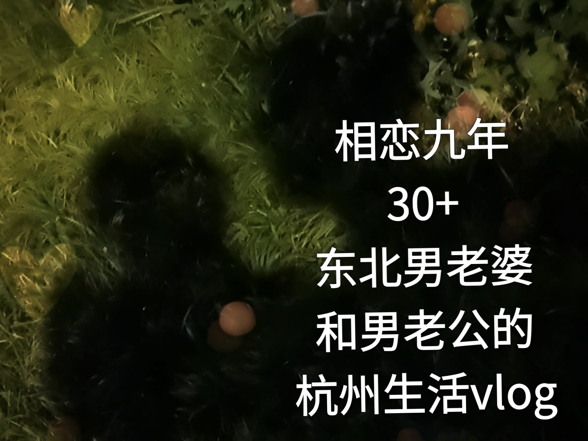 沉浸式体验东北大哥早起三小时照顾男老婆vlog
