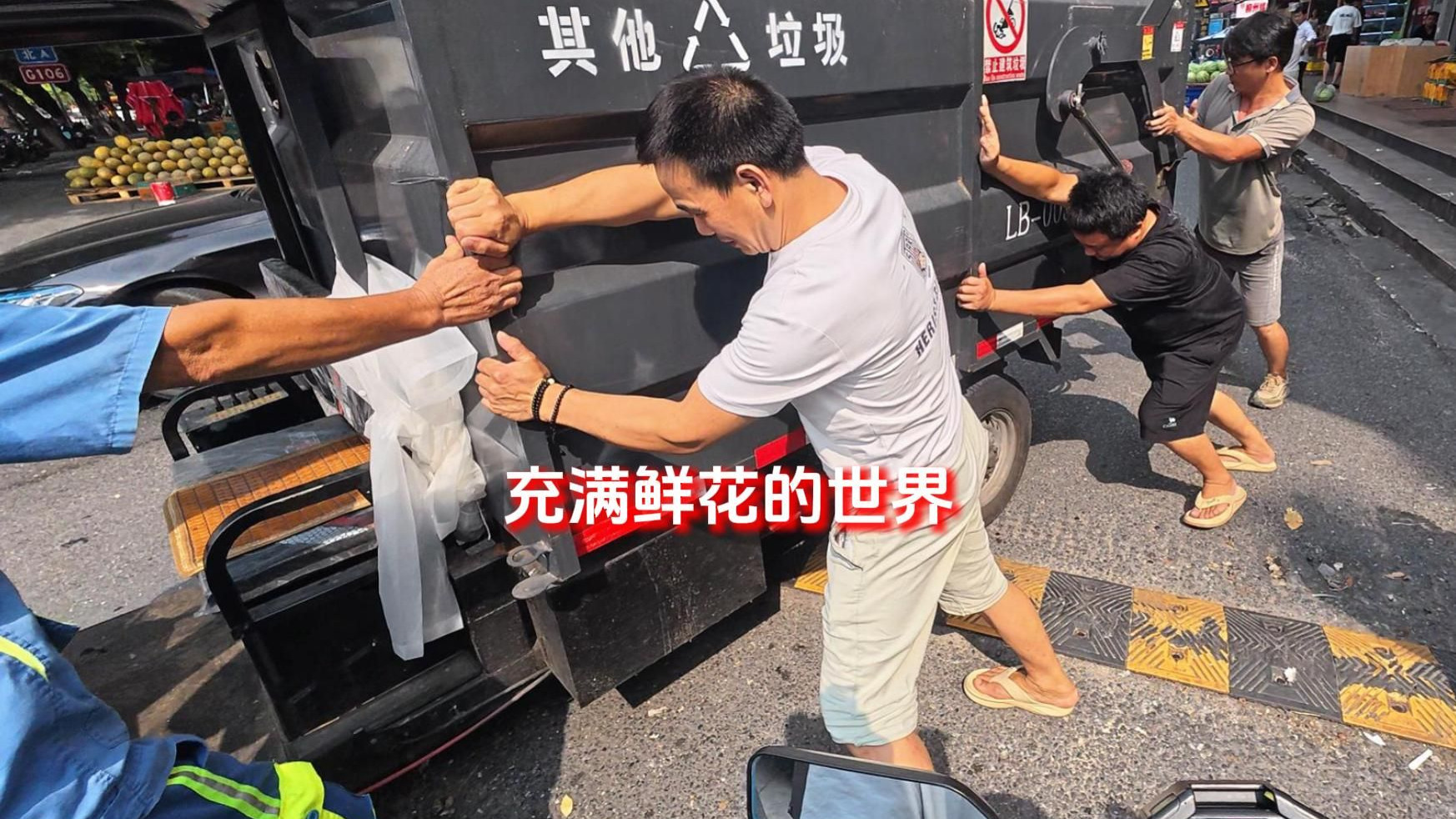 充满鲜花的世界到底在哪里