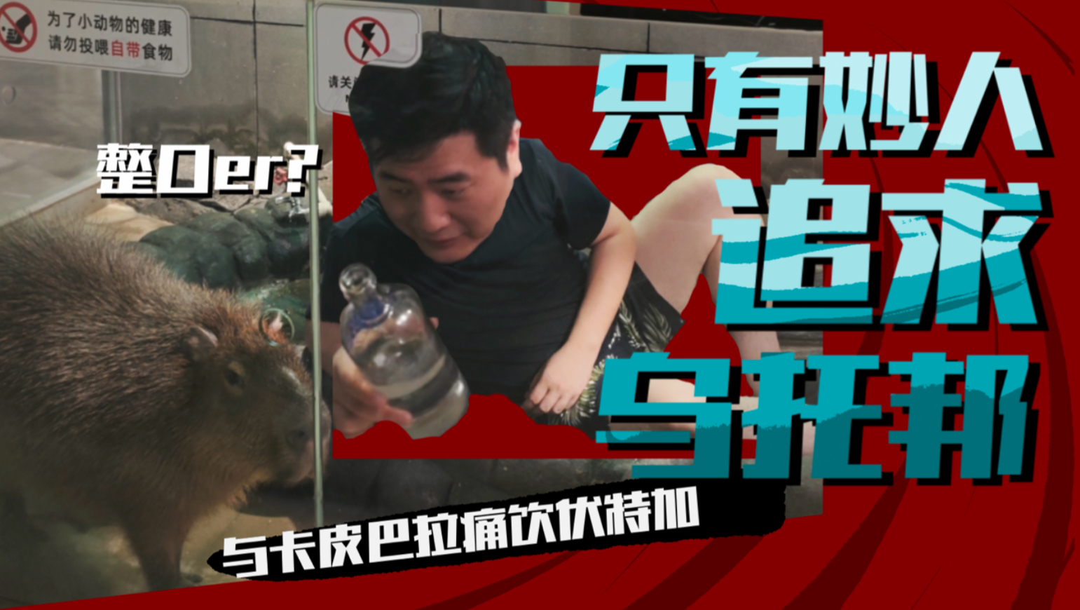 当上网红的第一天，先找个灵魂伴侣！