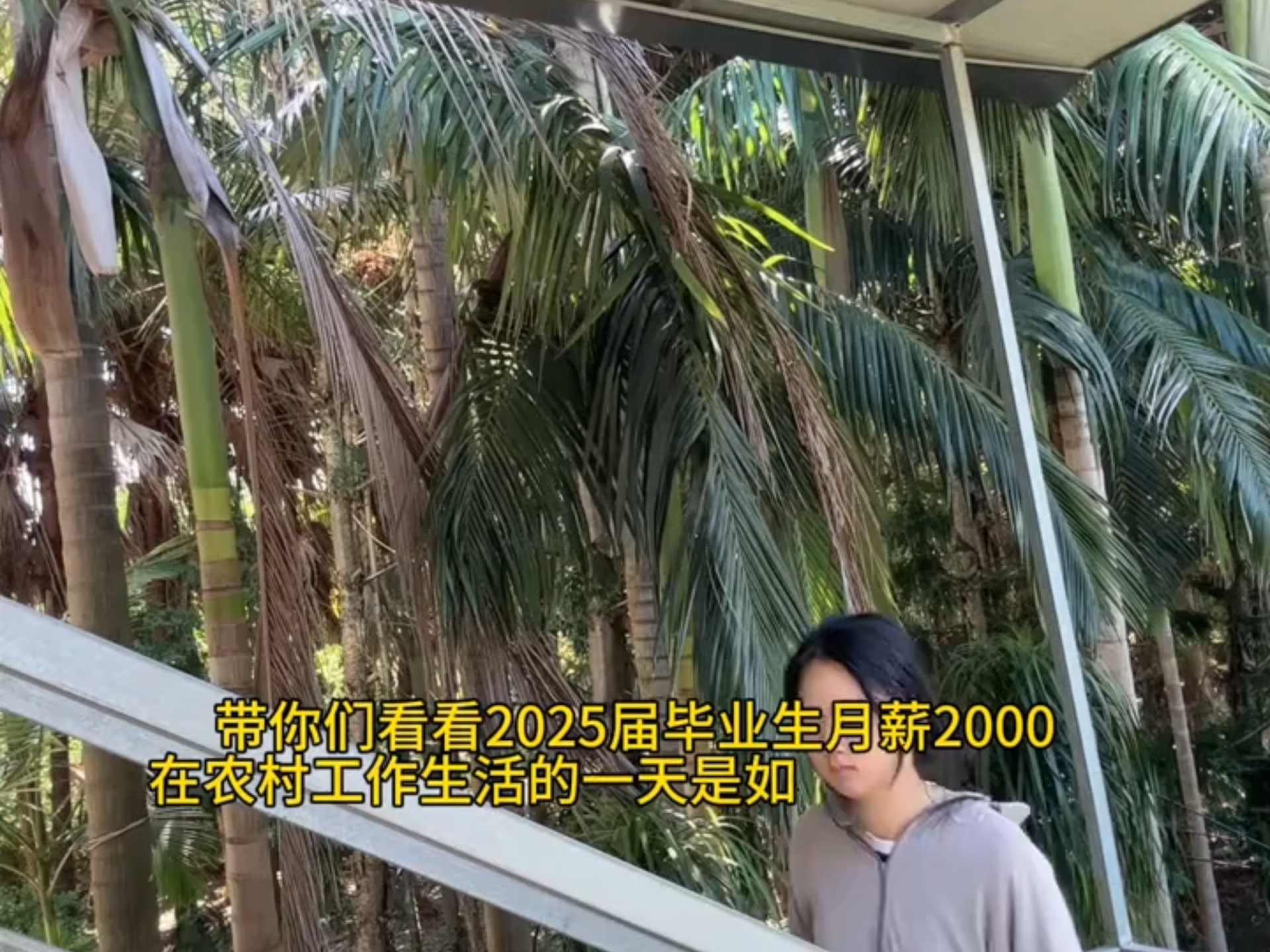 月薪2000的毕业生日常