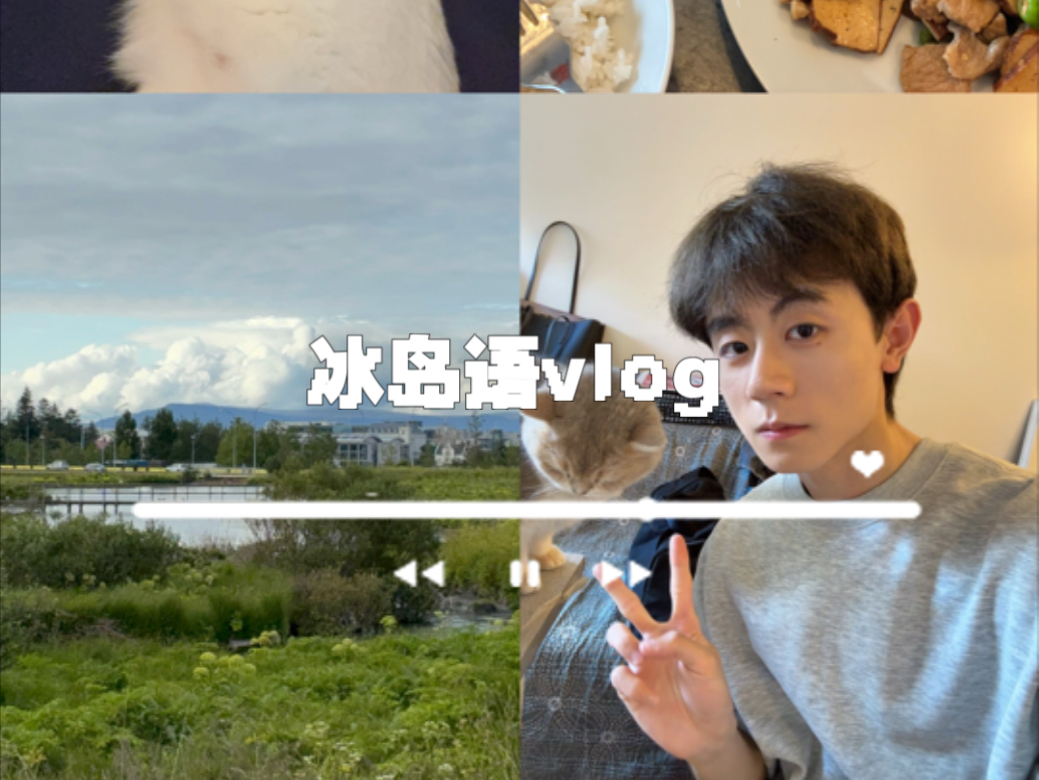 冰岛语vlog｜冰岛INFJ情绪自救日记