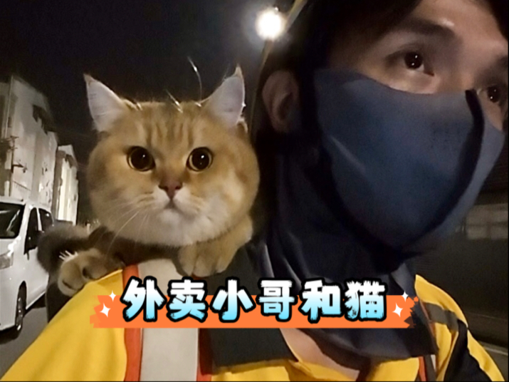 一人两猫，外卖小哥真实的一天是怎么过的？