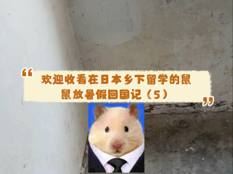 在日本乡下留学的鼠鼠之放暑假回国篇（5）