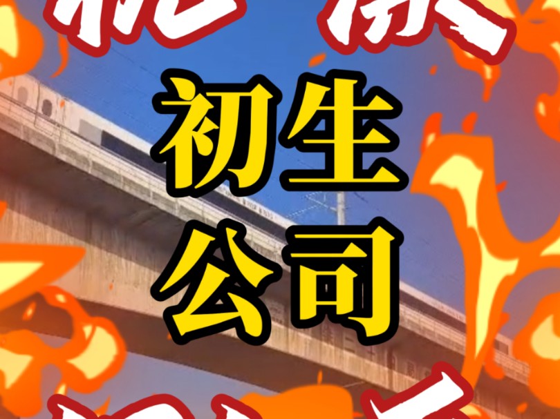 杭漂131天：初生公司