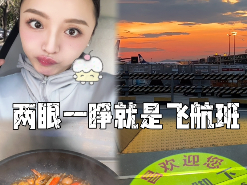 空姐vlog｜睁眼就是飞航班的这一周