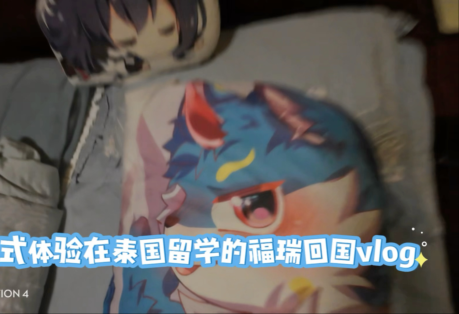 沉浸式体验在泰国留学的福瑞回家第一视角
