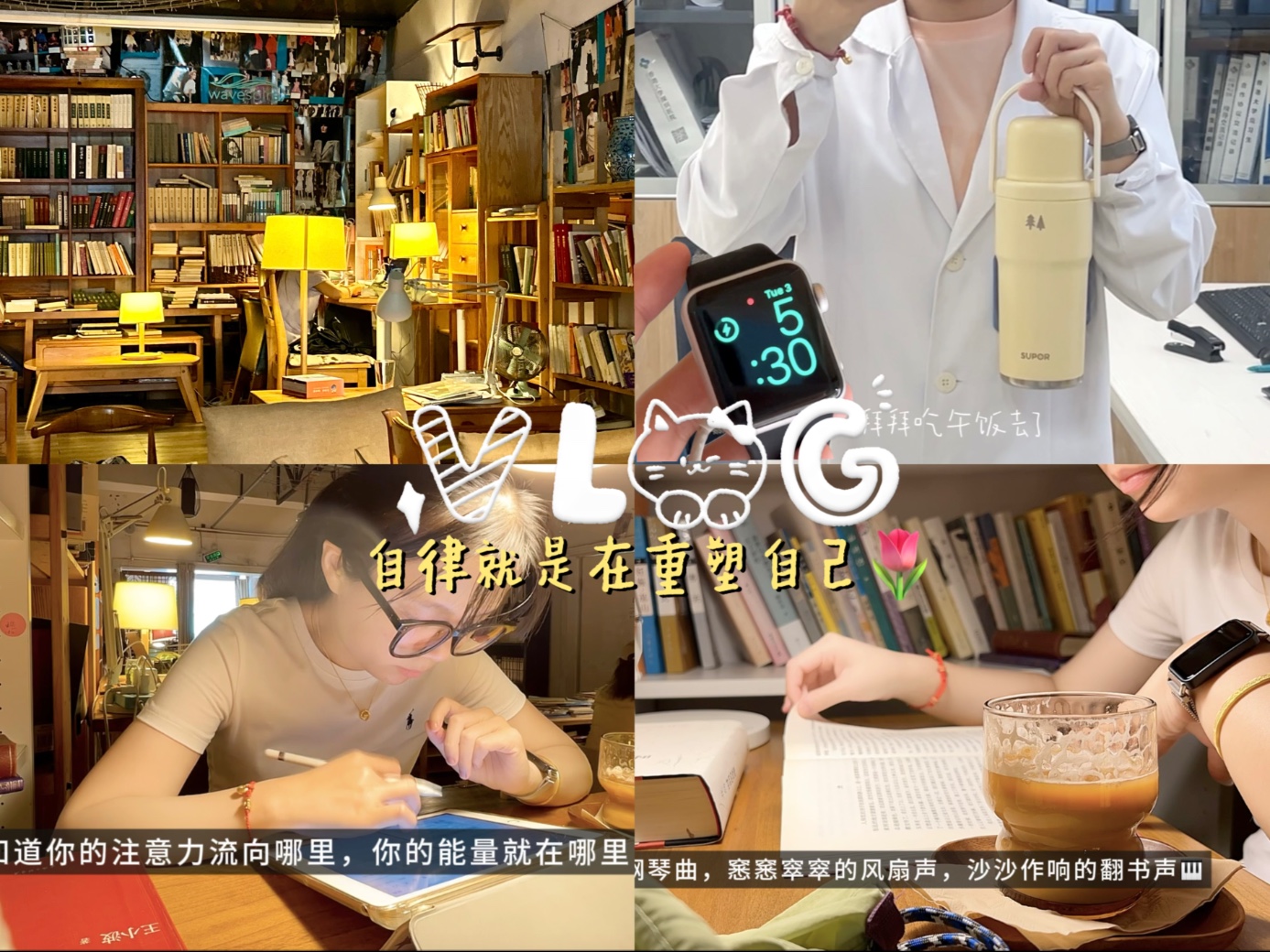 5点早起可以做多少事？慕强女的唯一出路是成为强者｜书店学12h｜在
