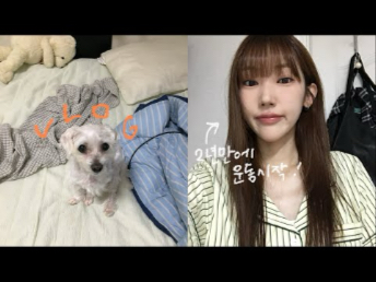[中字/gaehyon] 2025.8.5 part.1 终于和锤子住在一起了！|时隔