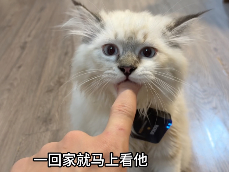留学生暑假一天干什么？