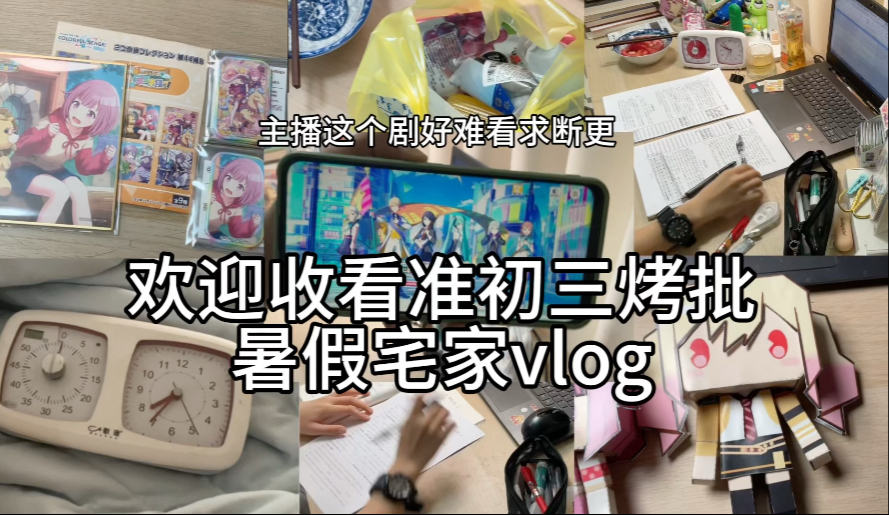 【vlog】烤p宅家日记