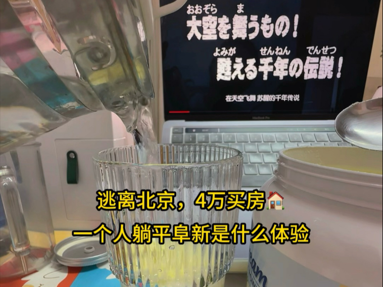 逃离北京，4万买房，一个人躺平阜新过夏天夏天夏天夏天夏天夏天