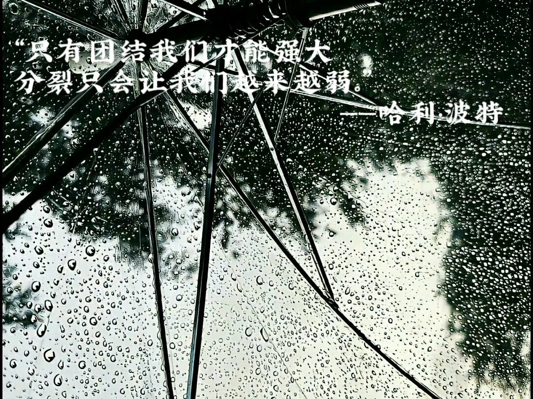 猜你喜欢的HP语录