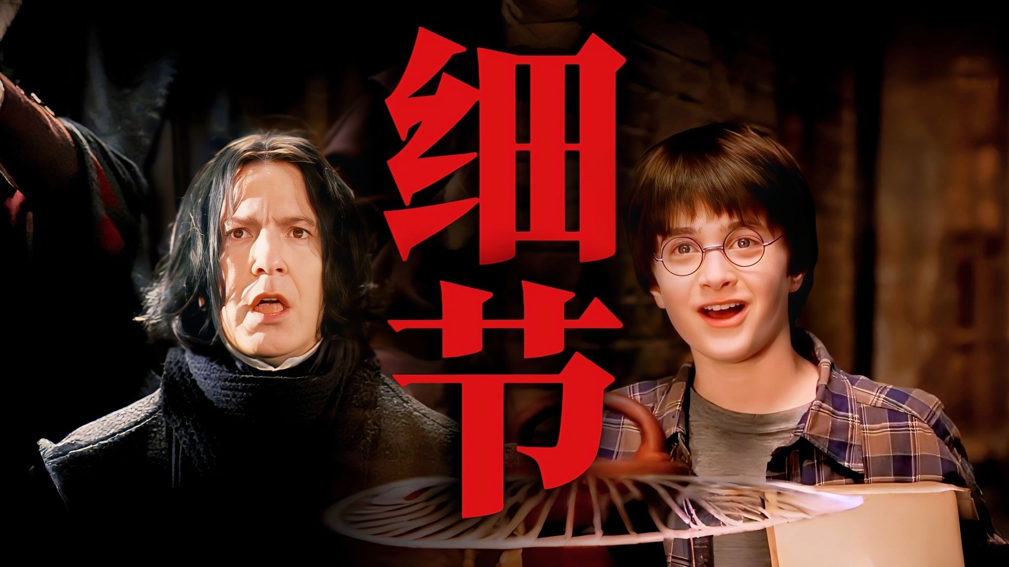 谁懂啊！《哈利波特与魔法石》这些细节，刷了N遍才发现