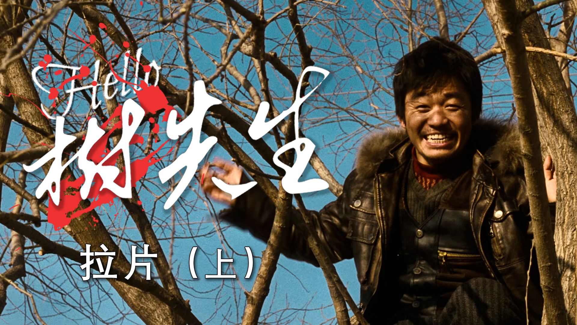 《Hello!树先生》拉片解析（上）—千里游魂 无根之树！疯子是快乐
