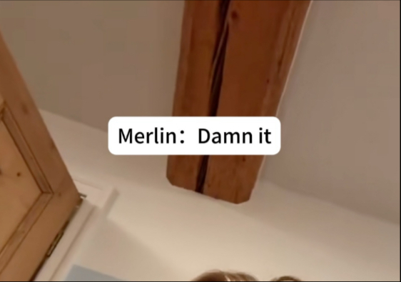 【梅林传奇/merthur】搬运几个很搞笑的吐槽