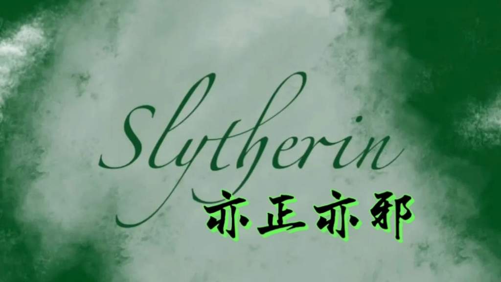亦正亦邪，斯莱特林。