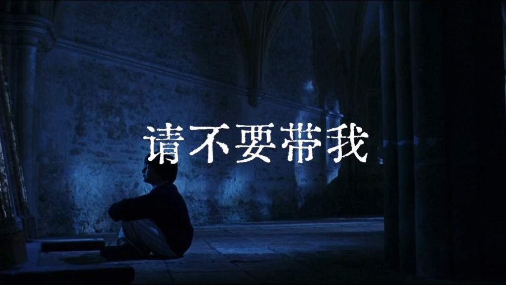 【哈利波特|hp】“请不要带我走——”