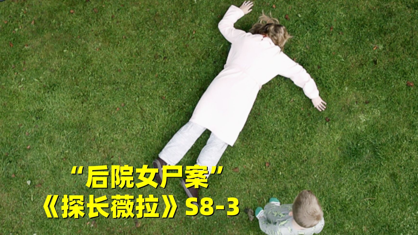 家庭主妇被人砸死在后院，烧脑悬案完全猜不到凶手是谁！《探长薇