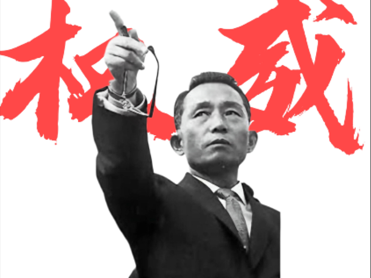 这可能是全b站最全的朴正熙剪辑