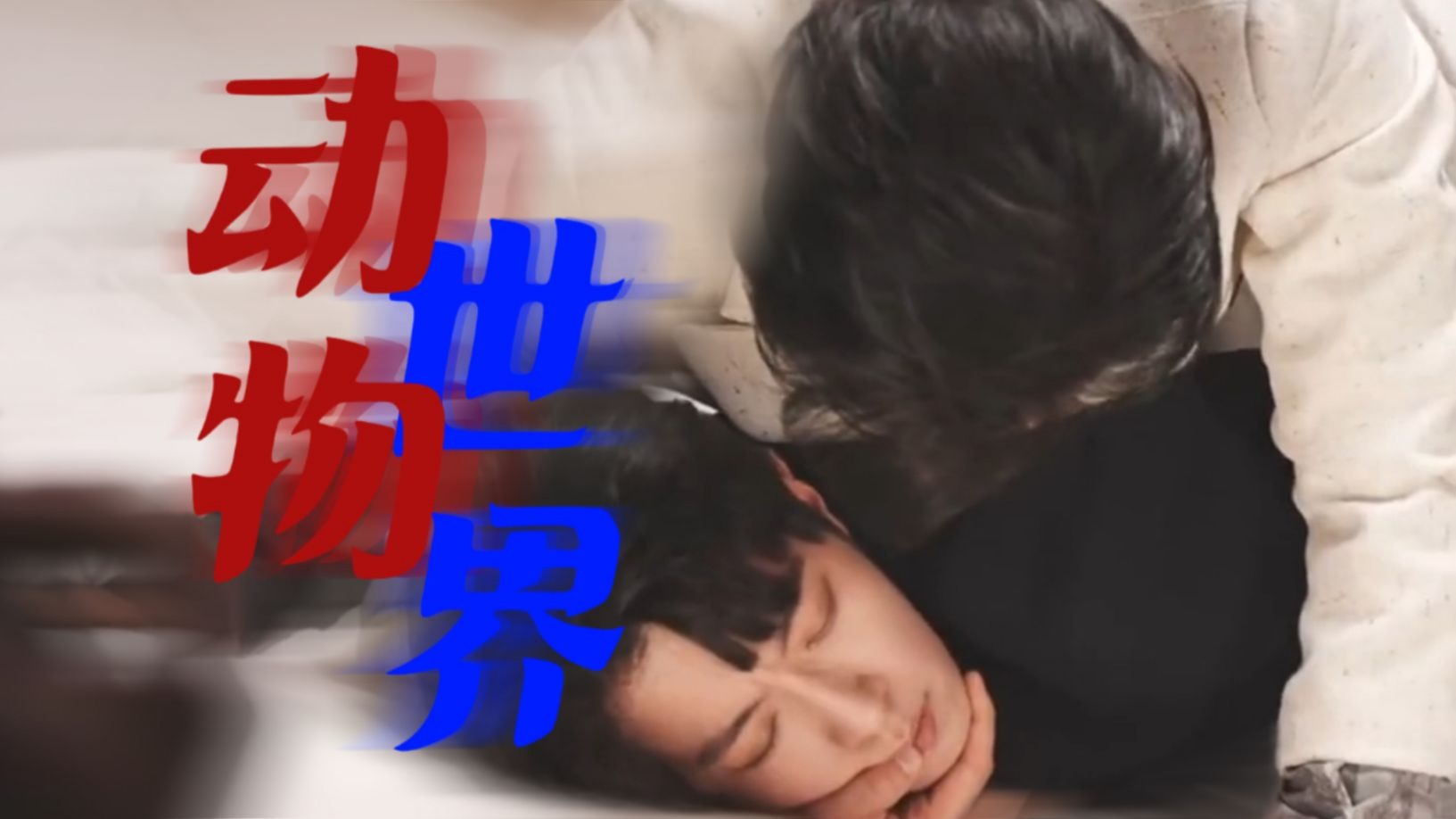 【狼兔】看完最新一集之我的感想