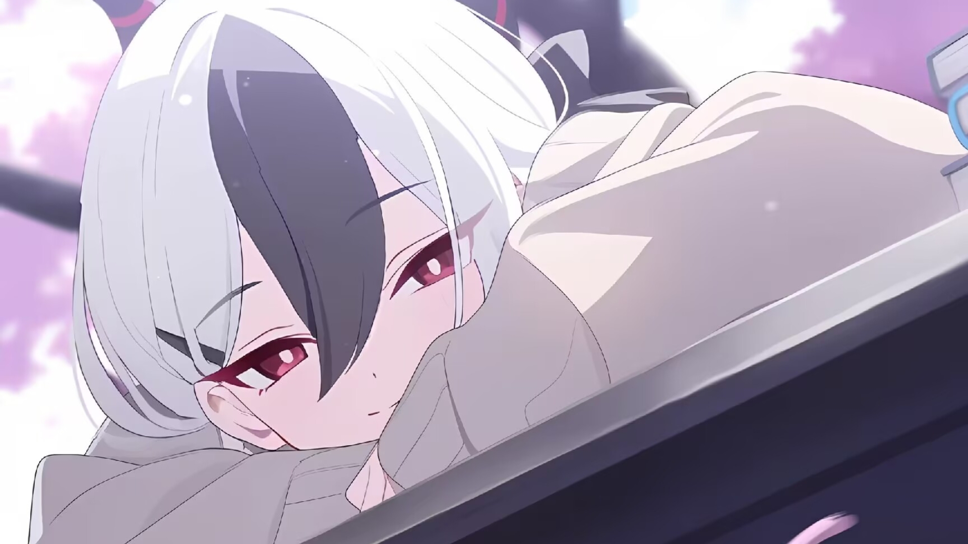 佳代子の猫猫介绍2