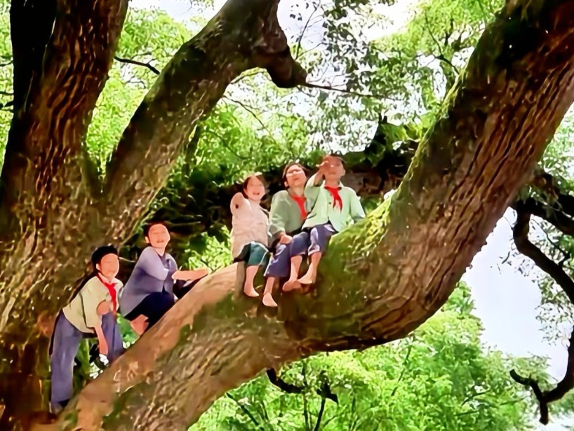 喜欢这部老电影里农村场景，张芝华宋忆宁等主演的电影