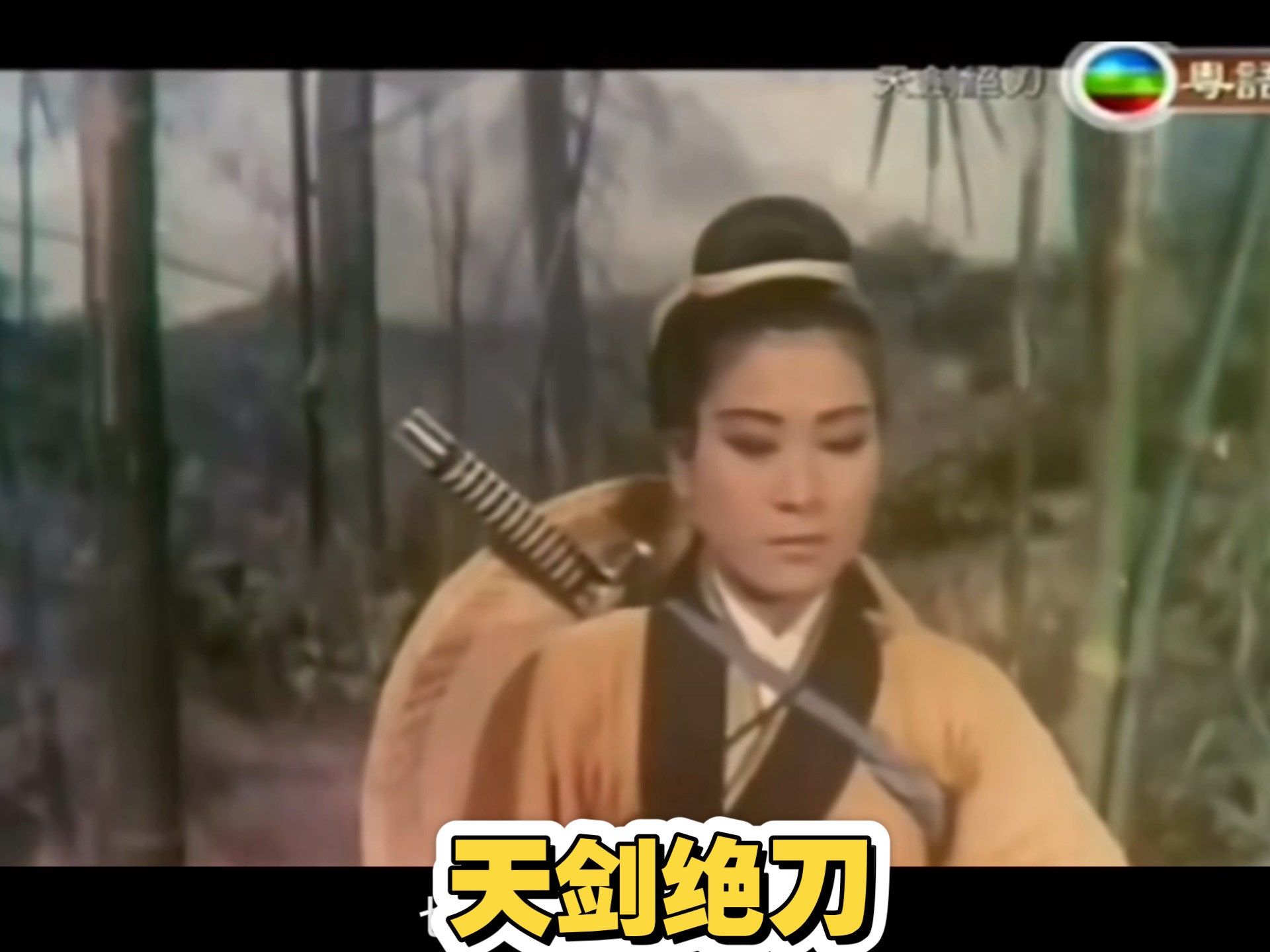 第12回：卧龙生（天剑绝刀）特辑（中）