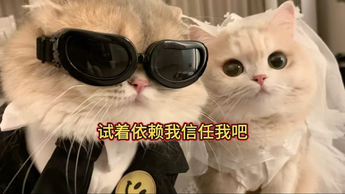 【东北女性向音声】先婚后爱 试着依赖我信任我吧～