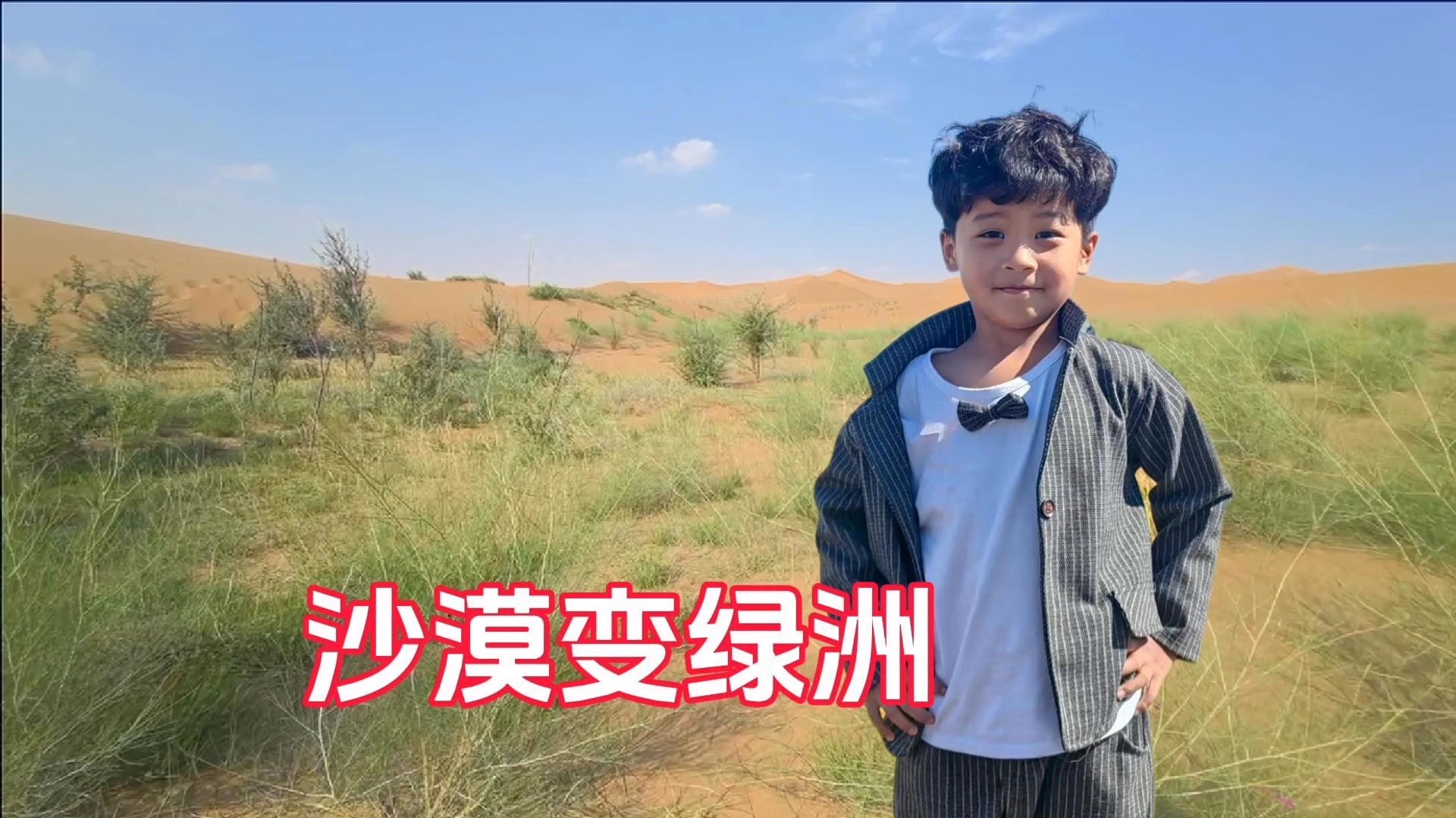 现实版“蚂蚁森林”？我和儿子在腾格里沙漠种了一片绿洲，一年前