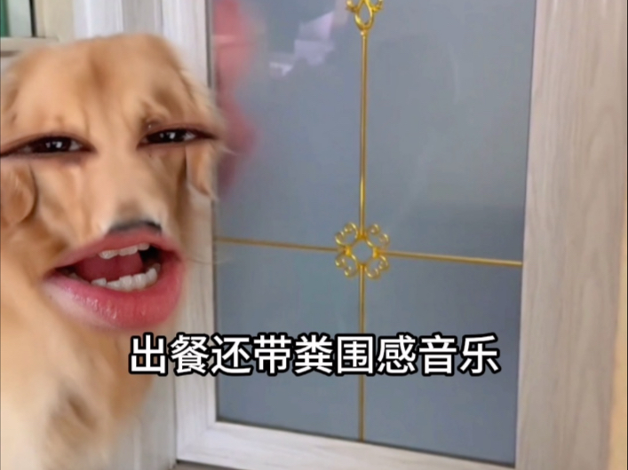 《音乐世家》
