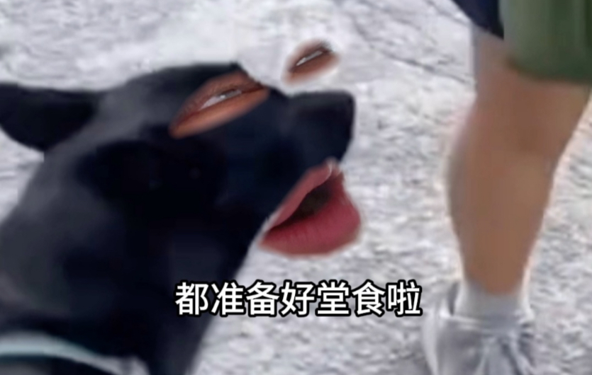 《一坨西餐》