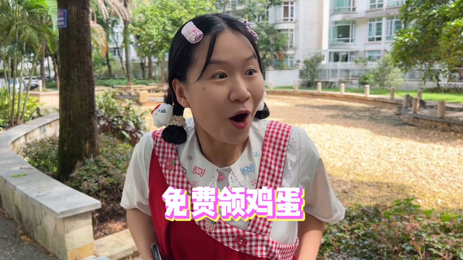 领鸡蛋还是领教训？