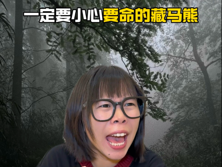 一定要小心要命的藏马熊
