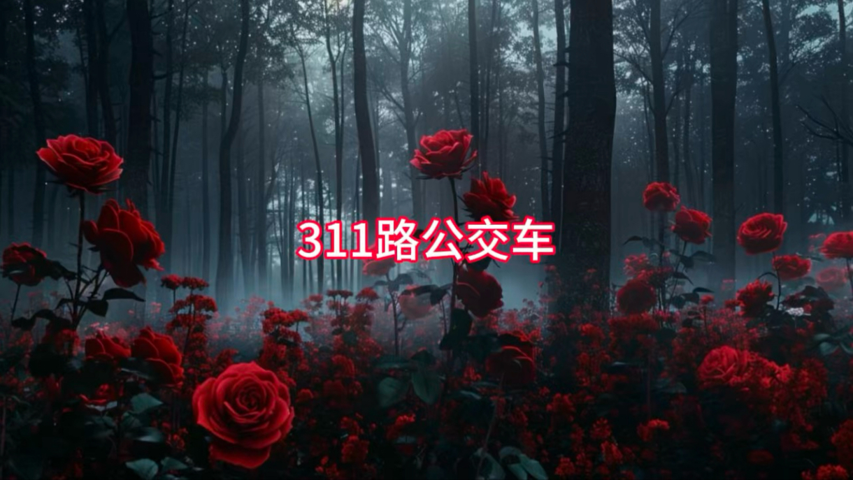 有时候上天让你错过，其实也是一种保护