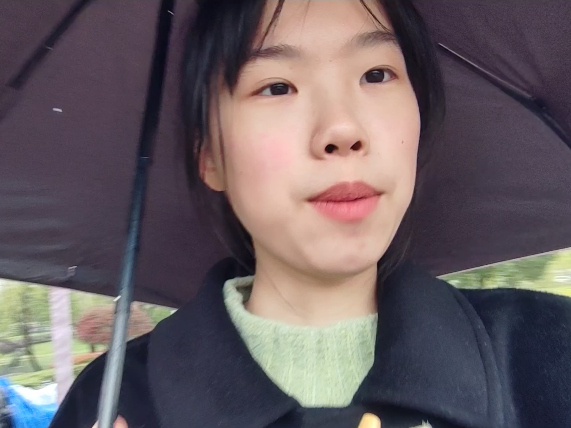 小狗碎碎念｜黛玉葬花