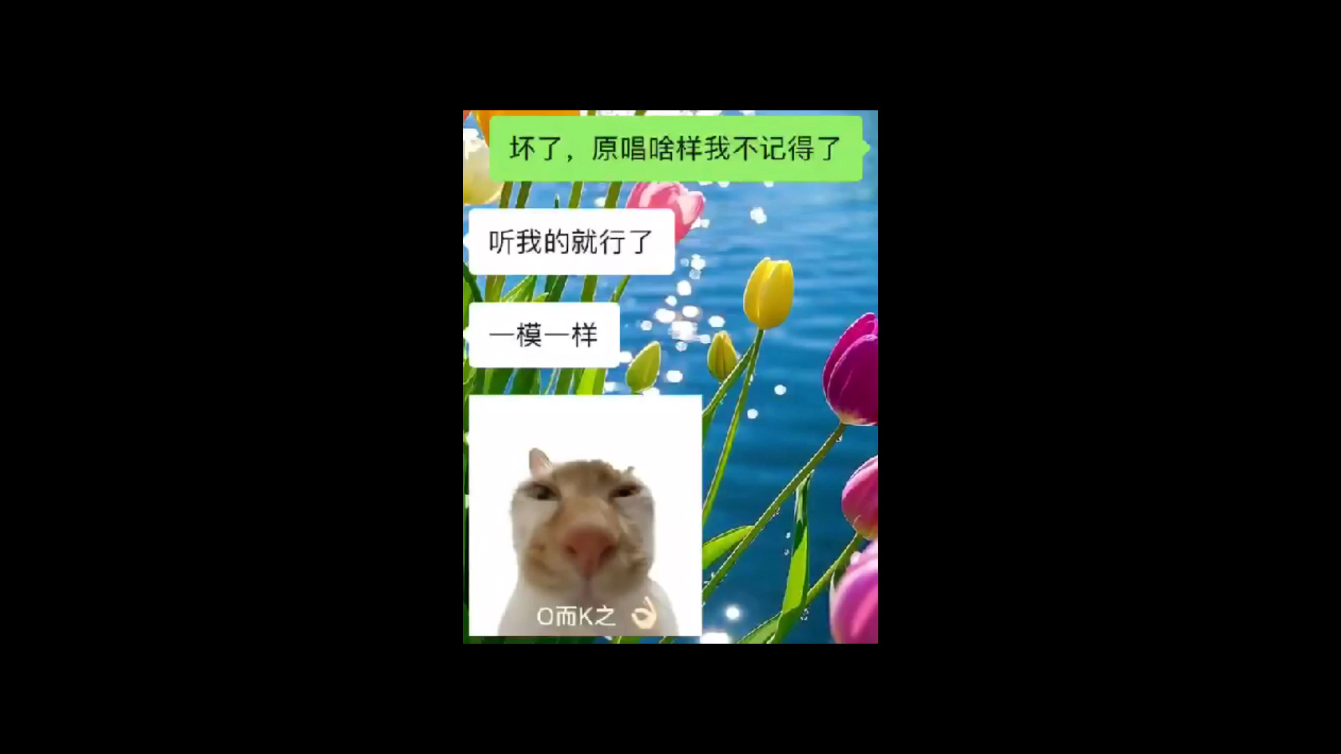 《莆田才子》一模一样哥沉淀了一晚，激情献唱，唱得口水都流下来