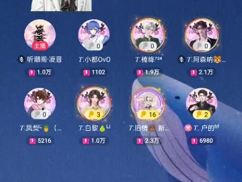 白黎排档《这一生关于你的风景》