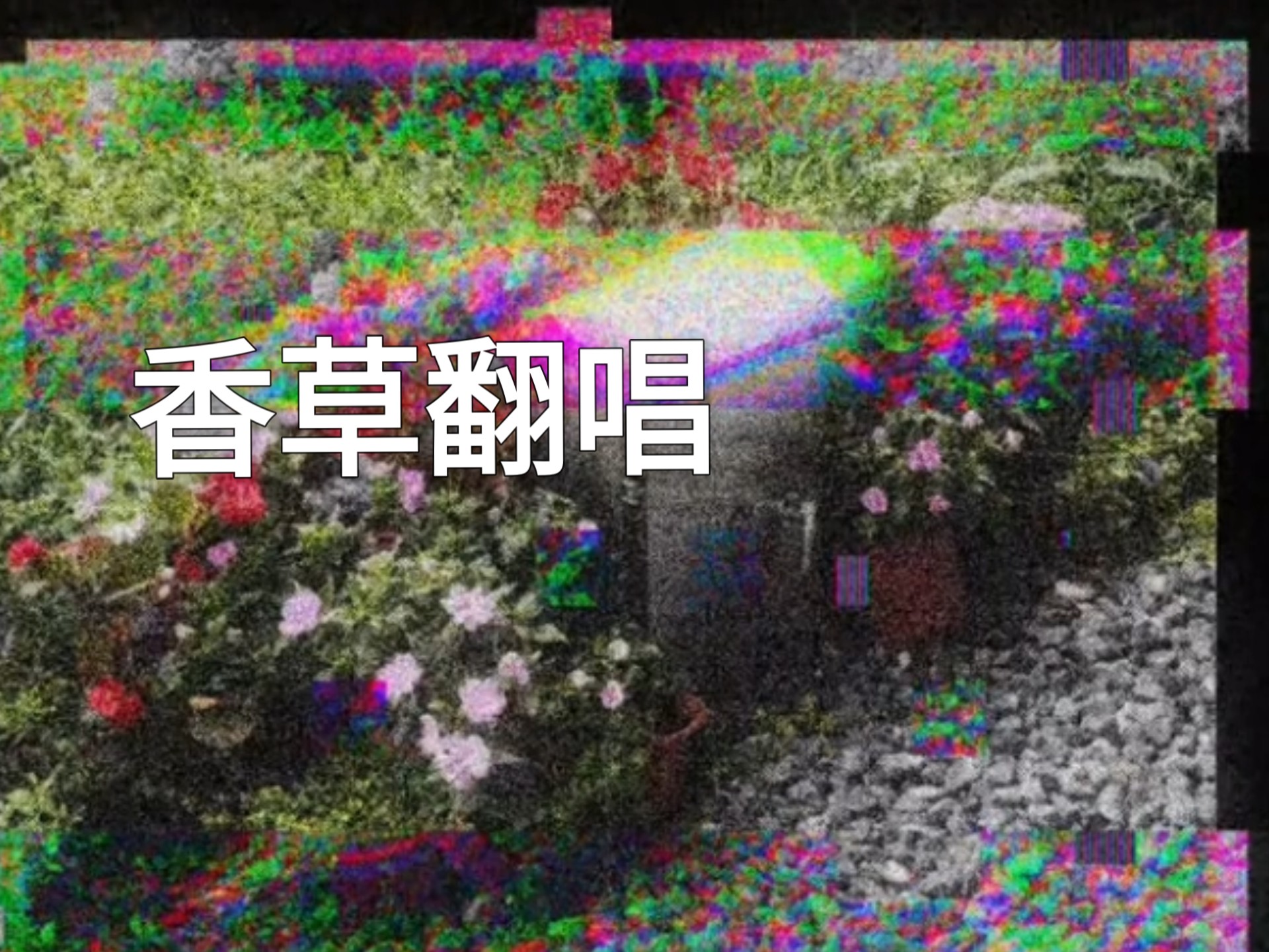 【香草cover】遇见神调，吃定！