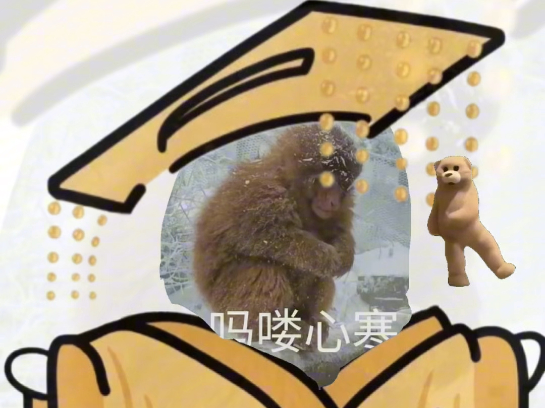 恭迎五代新长归位！！！